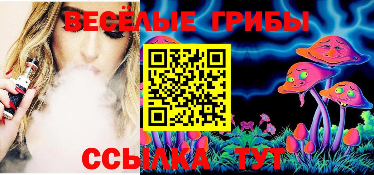 Петрозаводск  Псилоцибиновые грибы GOLDEN TEACHER  Вход с VPN 